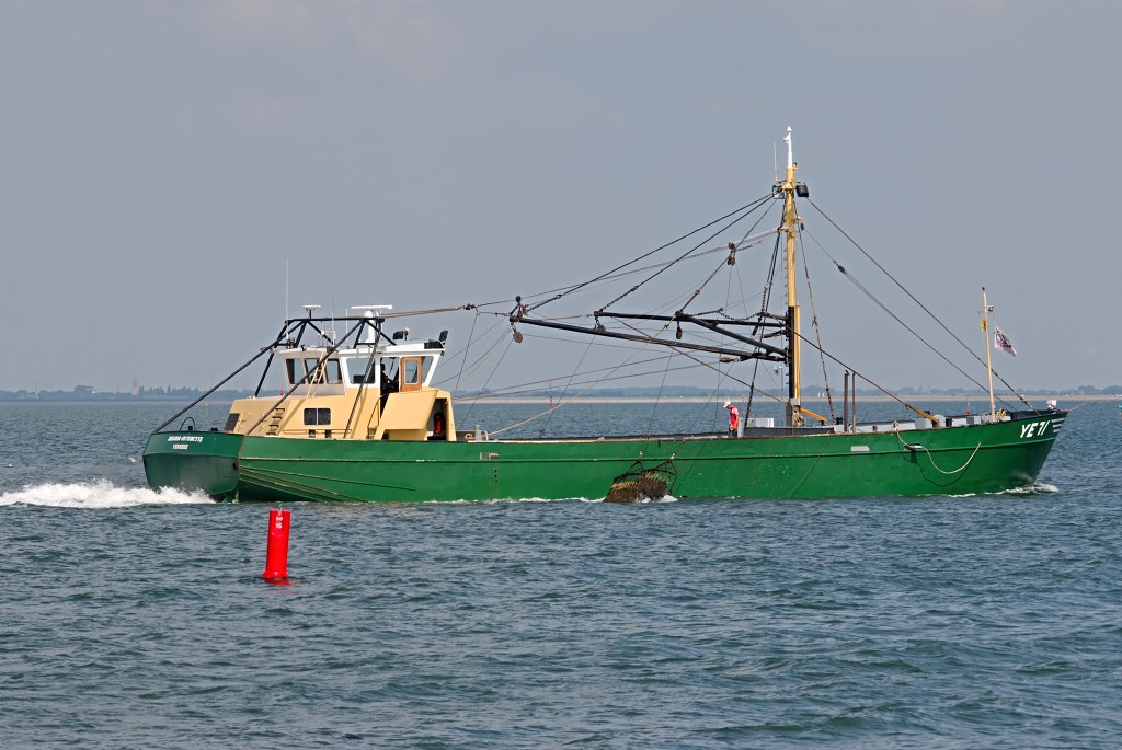yerseke mossel oester mossels oesters oesterputten hdr kweek zeeland oosterschelde visserij